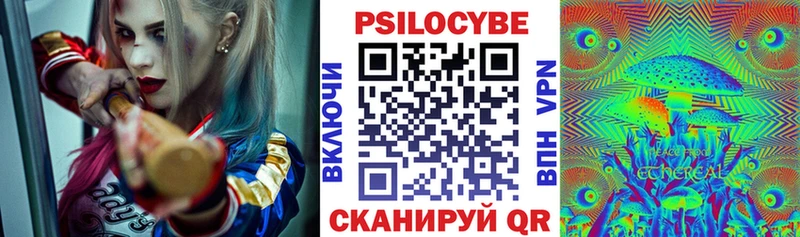 как найти   Норильск  Псилоцибиновые грибы MAGIC MUSHROOMS 